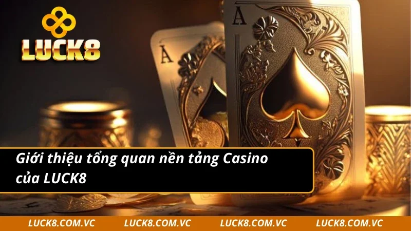 Giới thiệu tổng quan nền tảng Casino LUCK8 